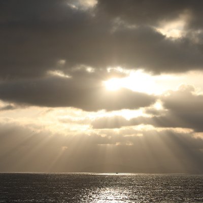 Masartes's profile picture. 