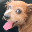 Mason Meeks - @Me49055432Mason - Twitter