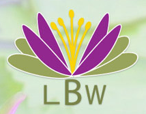 Lymphatic Bodyworks' owner Cynthia Bartholmey is the only Dr. Vodder Certified Lymphatic Therapist in Los Angeles/Beverly Hills and San Fernando Valley.