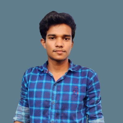 Professional WordPress Designer and Developer