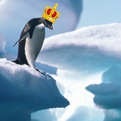 ya_boi_burs's profile picture. Just a guy who likes to play car soccer