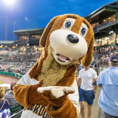 @ChasRiverDogs’ mascot and Fan’s Best Friend!