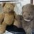 sachi_ogu's profile image