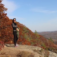 Anna Turbelin ๐๐ (@ajturbelin) 's Twitter Profile