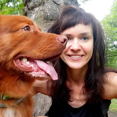 ChromaKatarina's profile picture. 