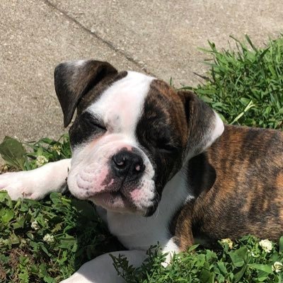 bobjohn1544's profile picture. Ghfvb