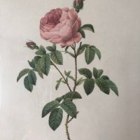 🌿🇫🇷Alizé🇫🇷🌿 (@25fasola) 's Twitter Profile