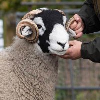 Kay Hutchinson (@bailhill_kay) 's Twitter Profile Photo Kay Hutchinson (@bailhill_kay) 's Twitter Profile Photo