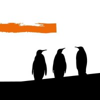 Reserva Natural Pingüino Rey(@rpinguinorey) 's Twitter Profile Photo
