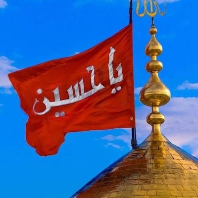 o313sc's profile picture. انا احب ( العراق )