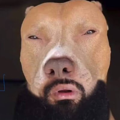 muffinman747's profile picture. 