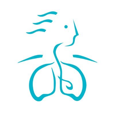 L’OPIQ encadre la pratique des inhalothérapeute œuvrant dans le domaine de la santé et des soins cardiorespiratoires.  
Nétiquette:  https://t.co/JhsARghPWi