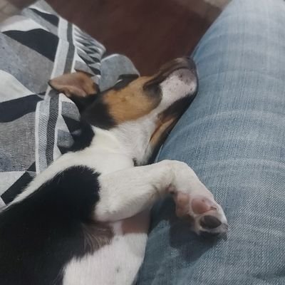 Clodys85's profile picture.