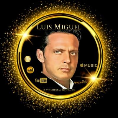 Página dedicada a difundir y apoyar la carrera y las plataformas digitales de @LMXLM