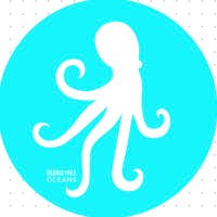 Debris Free Oceans (@dfoceans) Twitter profile photo