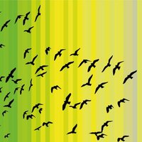 Martin Rotta | Geograf | rEVolution (@martin61382795) Twitter profile photo