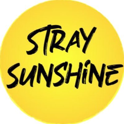 _StraySunshine Profile Picture