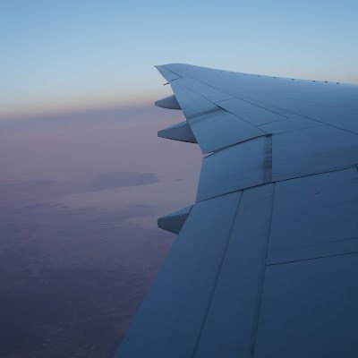 18139889yolo's profile picture. 