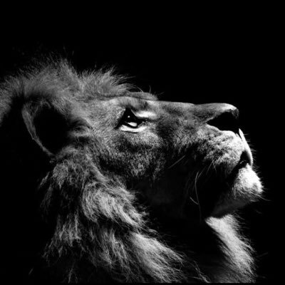 🔱 عاشق ایران❤️🔥🌟 باورمند به آرمانهای ملیگرایی و آزادی 📜 تاریخ، فرهنگ و آینده ایران را ارج مینهم به امید بازگشت شکوه ایرانزمین 🚯دشمن تفکرات متعفن ۵۷