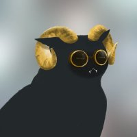 Lillian Blackburn 🤪 (@showyoucodeo) 's Twitter Profile