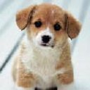 Horst Schmidt - @horstschmidt60 - Twitter