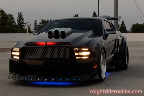 chingchilla's profile picture. ........SO AM I