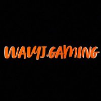 Wavyjgaming (@raynarddunigan) 's Twitter Profile
