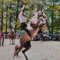 gringocho (@alexanderdecuy3) 's Twitter Profile
