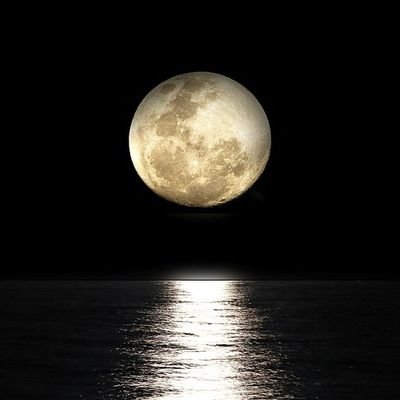 syuka_nmnl's profile picture. ただの食べることが好きな人です