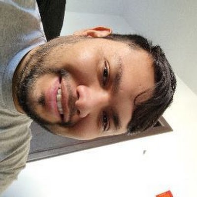 lima_demys's profile picture. 