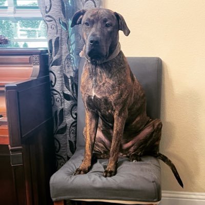 rudernyou's profile picture. “There is something beautiful about all scars of whatever nature. A scar means the hurt is over, the wound is closed and healed, done with.” - Harry Crews