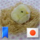 日本が危ういという危機感を感じ、Twitterに戻ってきました。日本は日本人のものです。自国の国民の生命と財産を守らない政治家は日本には不要です。他国の権益は他国の政治家がしっかり守っています。自国のために働かない政治家はどこの国でも不要です。自国に誇りを持たない人物は、どこに行っても信用されません。