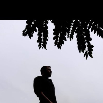 brunokolgol's profile picture. 