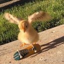 John McCorvey - @john_mccorvey - Twitter