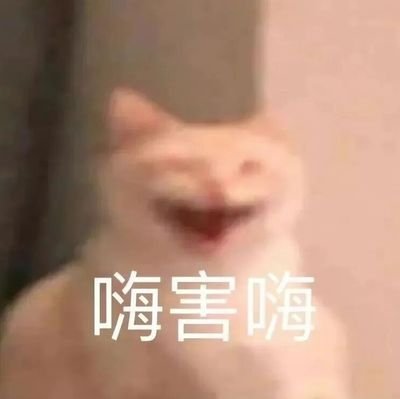 殷枭yinxiaoさんのプロフィール画像