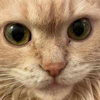bwinton (@bwinton) 's Twitter Profile