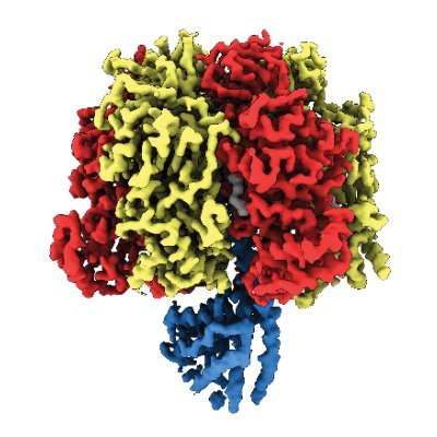 alastairstewart's profile picture. 