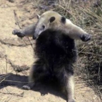 元銀行員 / ゼロから原状回復工事で起業 / 社員1人パート1人で2期目年商1億超 / 3期目に一棟RC買い大家デビュー / 8期目に無借金CF1千万+現金2億達成しリフォーム事業譲渡 / 大家業に専念 / 現在11期目 / 福岡市で事業用地と収益物件専門の売買仲介&買取再販やってます🏢