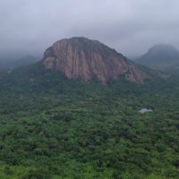 Thangoor (@thangoor1) 's Twitter Profile
