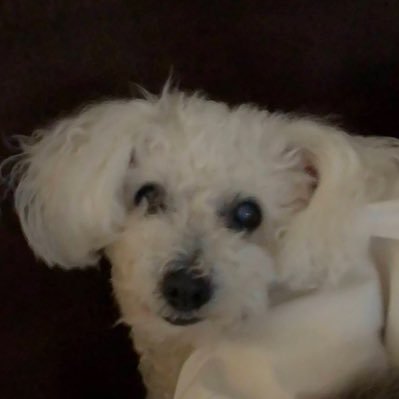 sflem01's profile picture. 