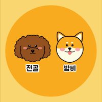 개과천선(@gaekwacheonsun) 's Twitter Profile Photo