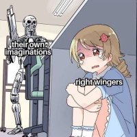 RightoidBS (@rightoidbs) 's Twitter Profile