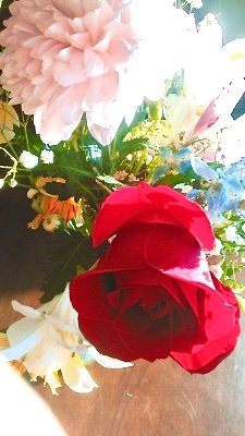 hannachan44's profile picture. 映像、音楽、絵画、文字、言葉。美しいものみんな好き。敬宮愛子さま推し。聞いた事が無い、見た事が無い＝存在しない にはならない。多分、私が今まで知らなかっただけ、と言うスタンスで初耳情報には寛大です。直感型なので本能的に歓迎或いは待望していた情報は人数関係なく大切にします。/ エロ系と副業垢はブロックさせて頂きます。