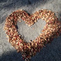 Wind221 (@wind1972215) 's Twitter Profile