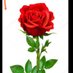 sajid (@maleksa63284019) Twitter profile photo