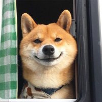 Leo (@leo__ffs) 's Twitter Profile Photo Leo (@leo__ffs) 's Twitter Profile Photo