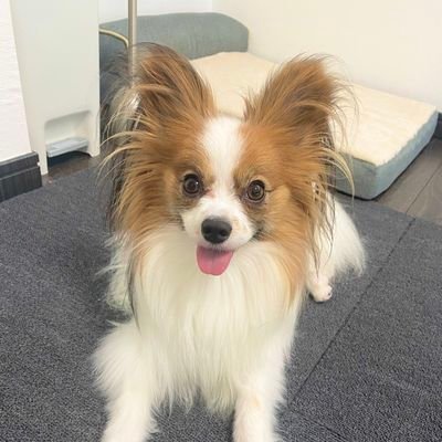 nm725340's profile picture. 🚅鉄道ファン🗾🧳旅行好き😘