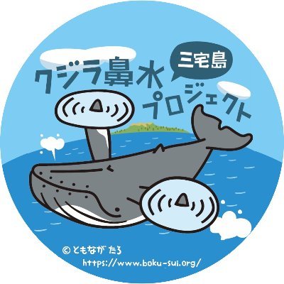 「クジラが見えるカフェ」と研究者がコラボ！ドローンでクジラに迫る！ 東京都三宅島の沖倉商店と、クジラ研究者達がタッグを組み、来遊するザトウクジラの鼻水（ブロー）をドローンで採取します。この公式Xではプロジェクトやクジラについて呟いていきます🐋💦