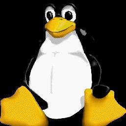 quekaiwen's profile picture. 弱鸡工科生