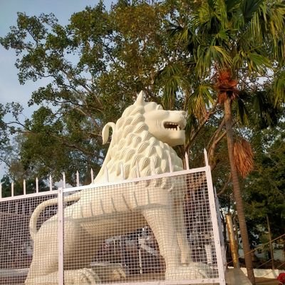 Daiyan04's profile picture. 